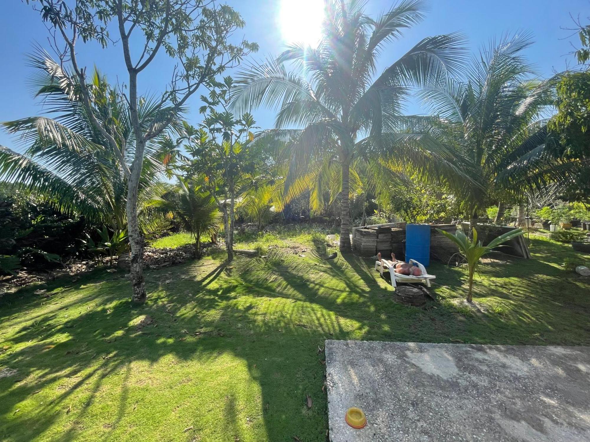 R&V Villa Negril Zewnętrze zdjęcie